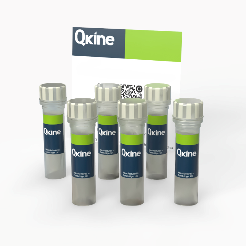 Qkine蛋白活动产品合集