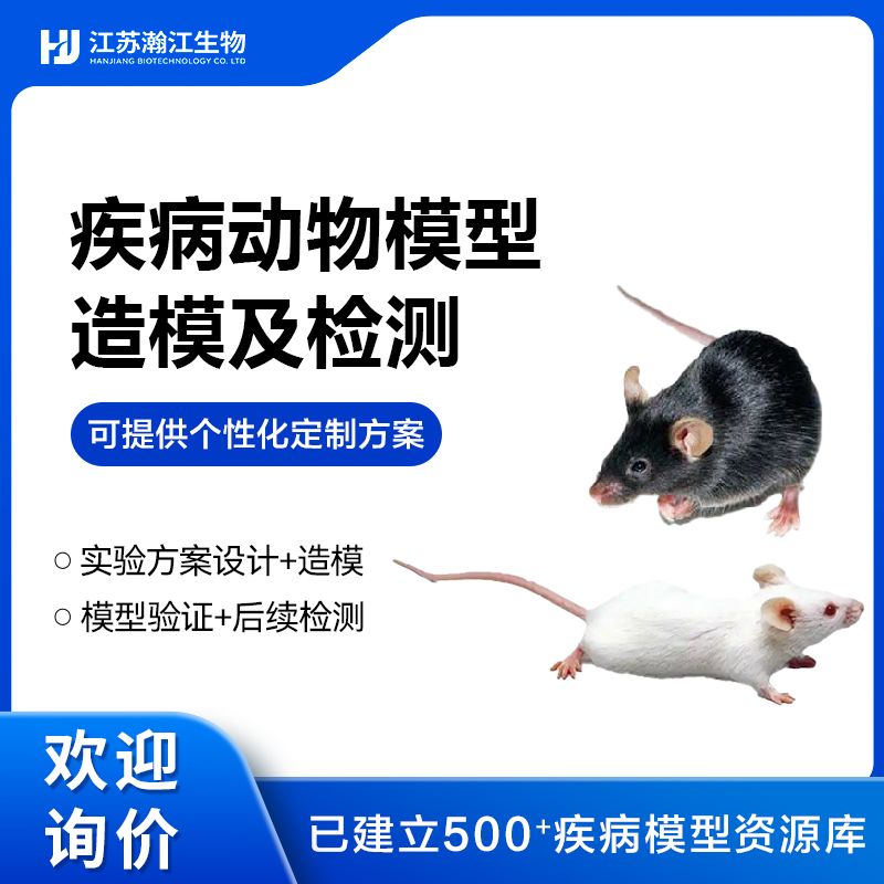 动物模型、动物实验、动物造模（大鼠，小鼠等）