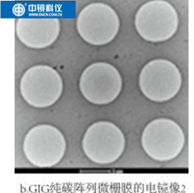 GIG纯碳阵列微栅膜