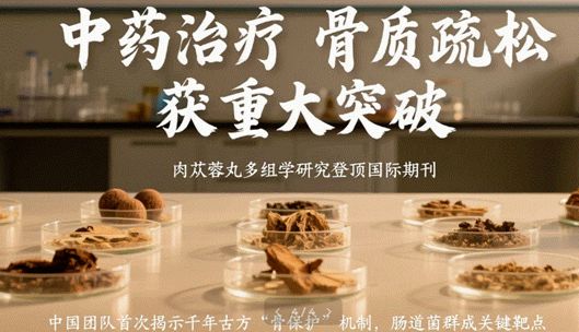 中药治疗骨质疏松获重大突破！肉苁蓉丸多组学研究登顶国际期刊