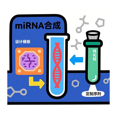 miRNA定制合成