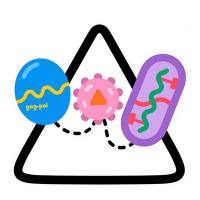 过表达慢病毒包装