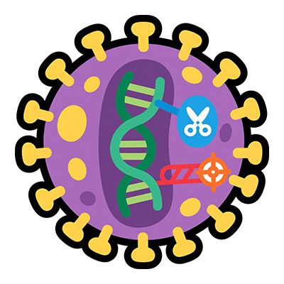 CRISPR-Cas9敲除慢病毒