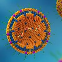 Cy3标记适配体功能化脂质体纳米粒（LNP）实现结肠癌细胞特异性siRNA递送与免疫微环境调节