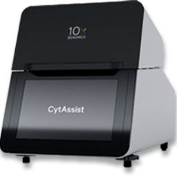 10xCytAssist空间转录组