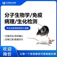 PCR、WB、染色、硬组织切片、ELISA检测，RT-qPCR，外泌体电镜