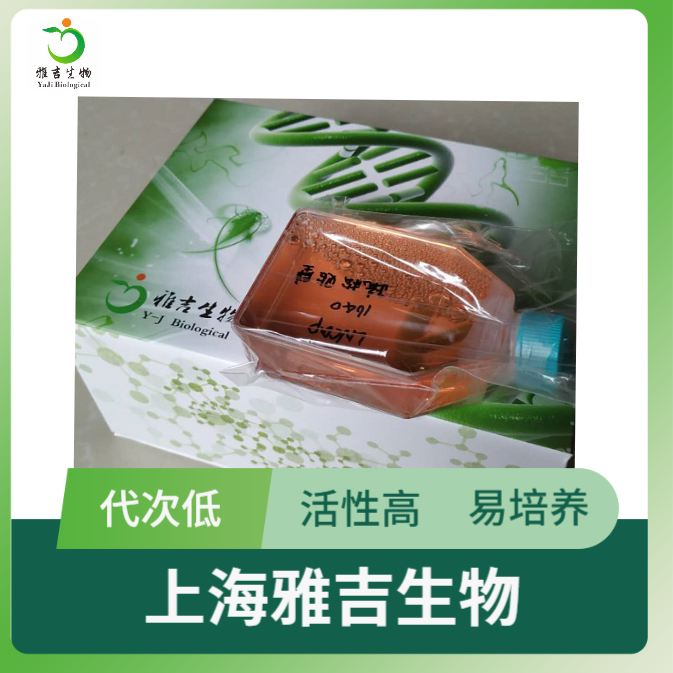 小鼠杂交瘤SDOW17培养説明