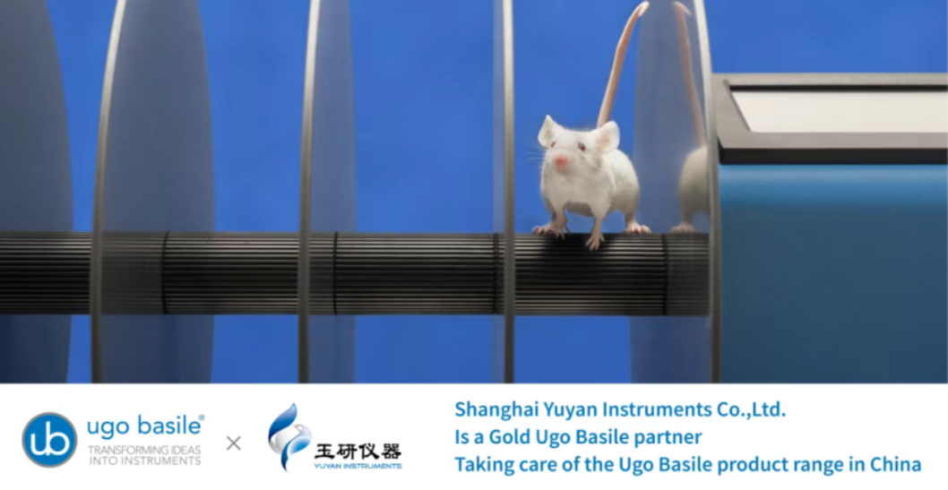 Ugo Basile机械痛测量：临床前机械痛测量研究的一站式解决方案