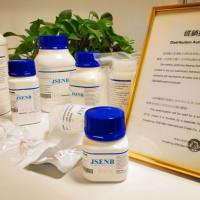 1×膜再生液(Western一抗二抗去除液)