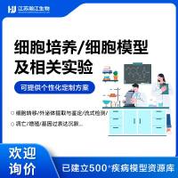 细胞相关试验/流式检测/流式细胞凋亡检测/流式细胞周期检测