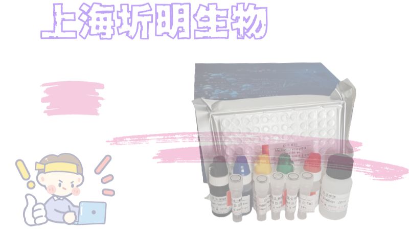 重组人XDH蛋白说明书