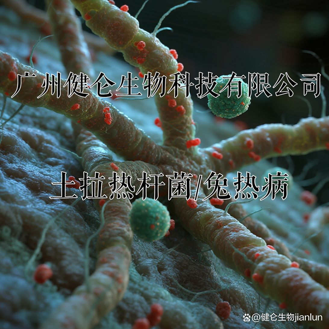 科研研究用土拉热杆菌快速检测试剂盒(免疫层析法)