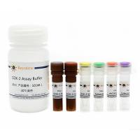 环氧化酶-2(COX-2)抑制剂筛选试剂盒