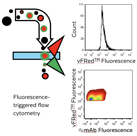 全光谱流式纳米级维度分选——细胞外囊泡精准分选完整解决方案