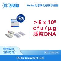 636763Takara Stellar化学感受态 高转化率 甲基化DNA克隆 长片段文库构建 10×100 μl