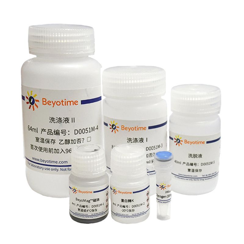 BeyoMag™磁珠法残留DNA样品制备试剂盒