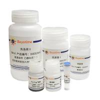 BeyoMag™磁珠法残留DNA样品制备试剂盒