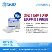 TaKaRa DNA片段纯化TaKaRa MiniBEST DNA Fragment Purification Kit Ver.4.0