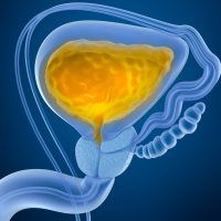 外泌体提取试剂盒（尿液）