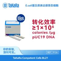 9126Takara BL21蛋白表达感受态 高稳定性外源蛋白表达 100 μl×10管