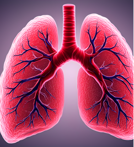 Ⅰ型鼠尾胶 4-2.png Ⅰ型鼠尾胶 4-2.png