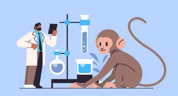 IPHASE猴肝S9助力药物代谢研究