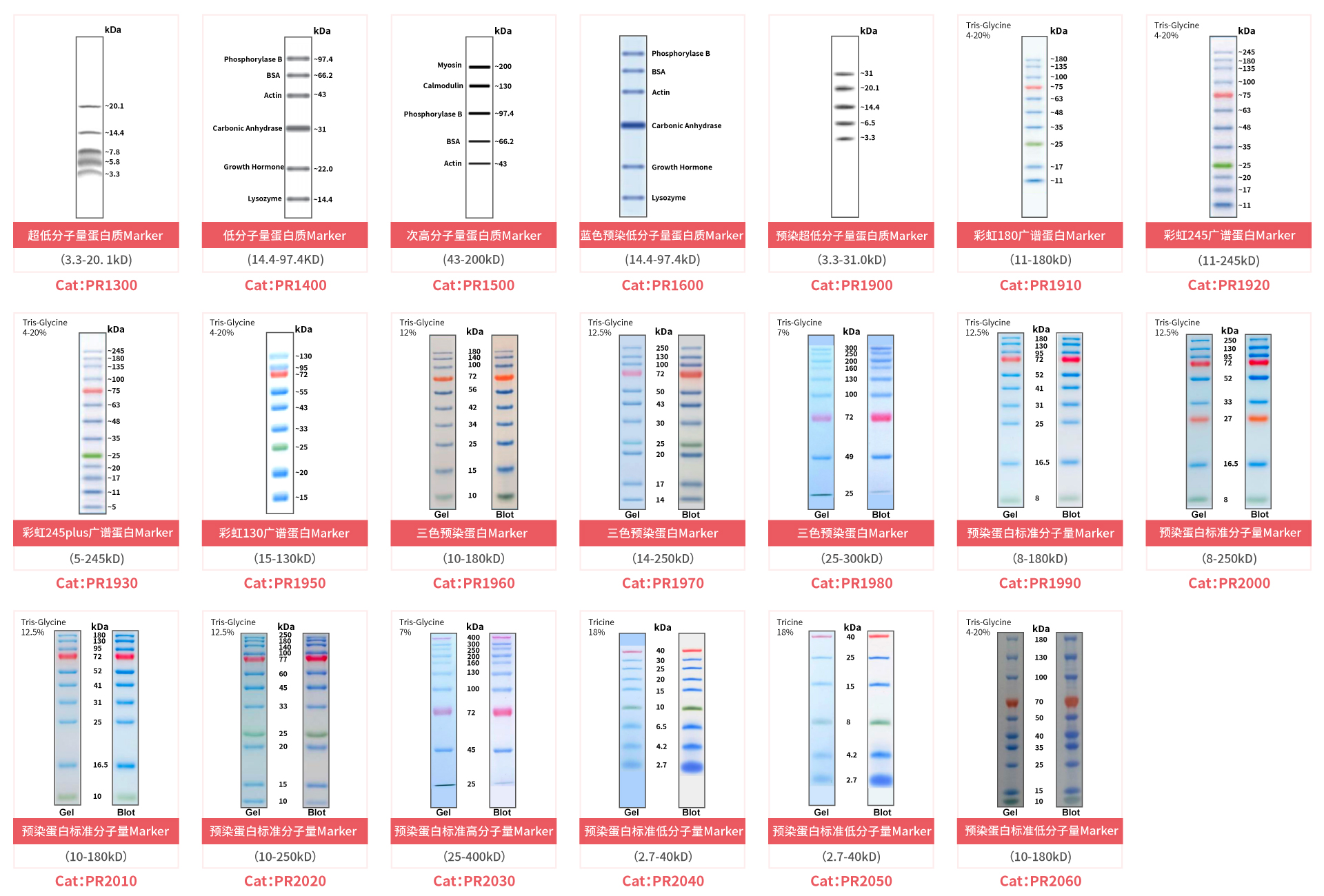 彩虹marker 180广谱蛋白marker 索莱宝