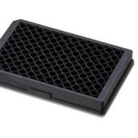 Pierce链霉亲和素包被高容量板，96孔黑色荧光