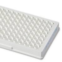 Pierce链霉亲和素包被高容量板，白色，化学发光