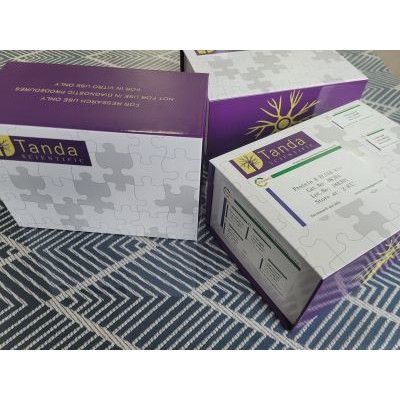 人磷酸化Tau蛋白(pT217)ELISA试剂盒