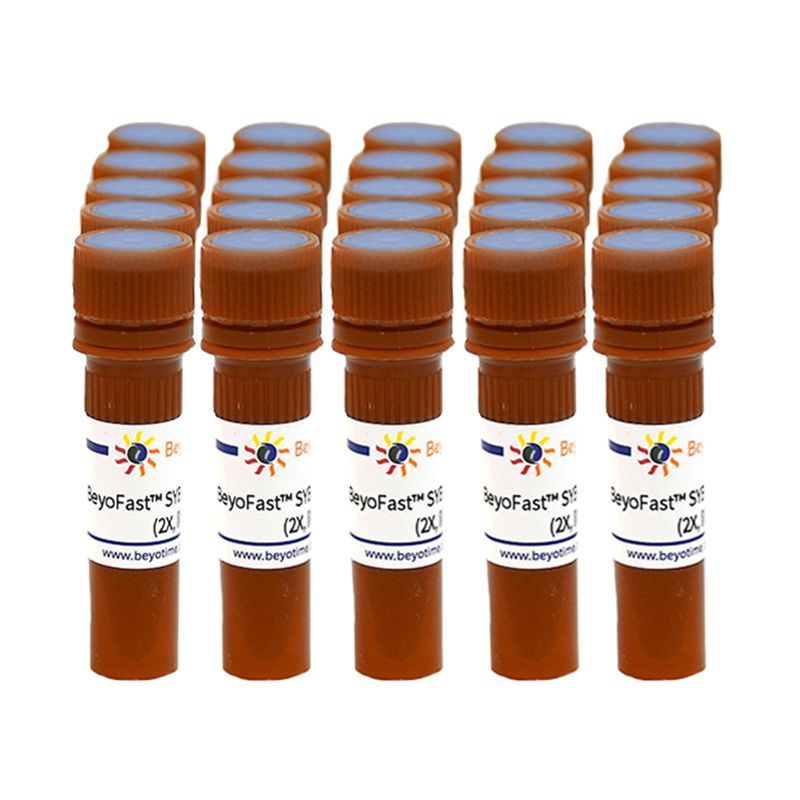 BeyoFast™ SYBR Green qPCR Mix (2X, 防污染型)