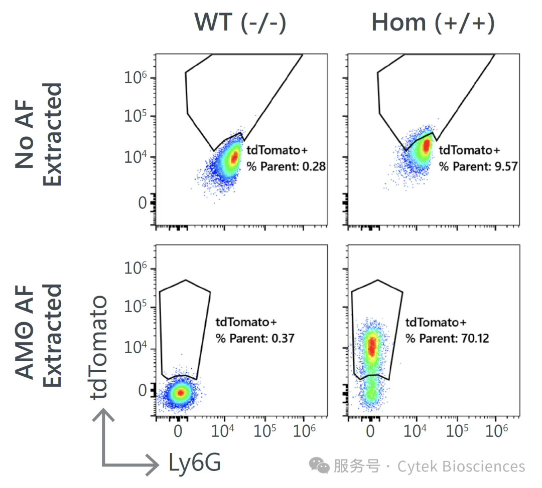 多重自发荧光提取三大挑战，AF Explorer见招拆招，一键破局