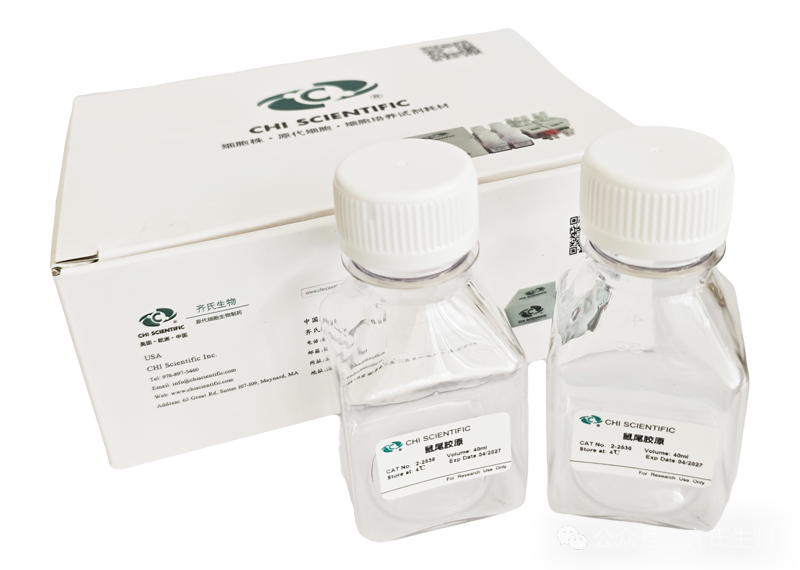 Ⅰ型鼠尾胶 1.png