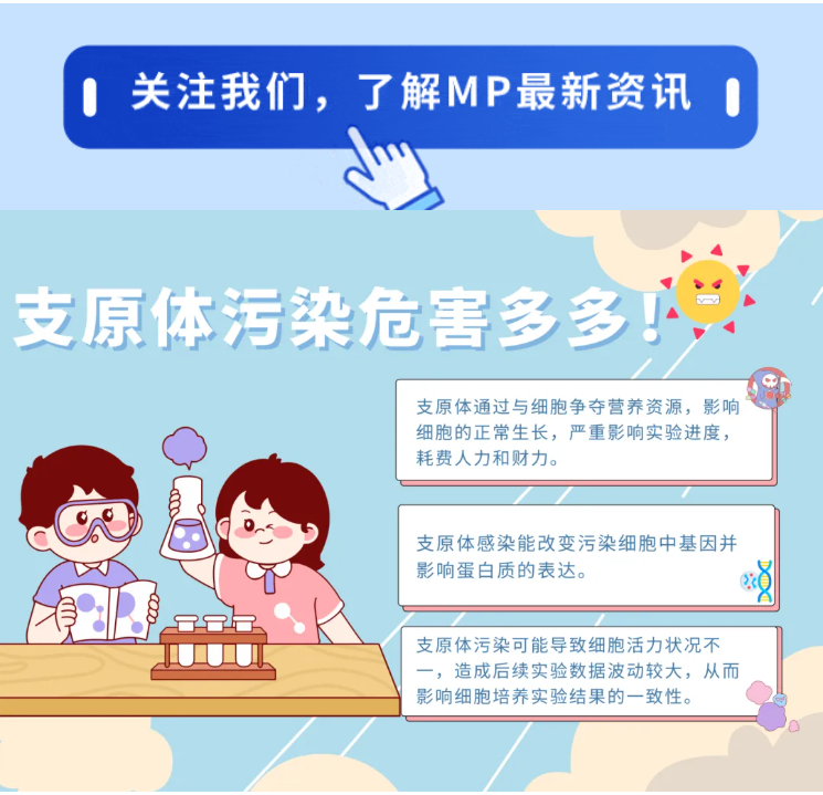 看不见≠不存在！支原体污染，退，退，退！