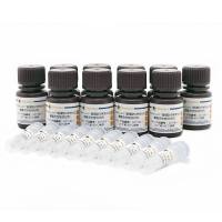 Kinase-Lumi™超强型化学发光法激酶活性检测试剂盒