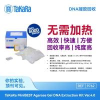 TaKaRa DNA凝胶回收TaKaRa MiniBEST Agarose Gel DNA Extraction Kit Ver.4.0