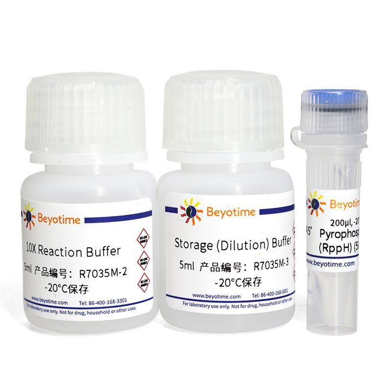 RNA 5’ Pyrophosphohydrolase (RppH)