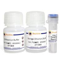 RNA 5’ Pyrophosphohydrolase (RppH)