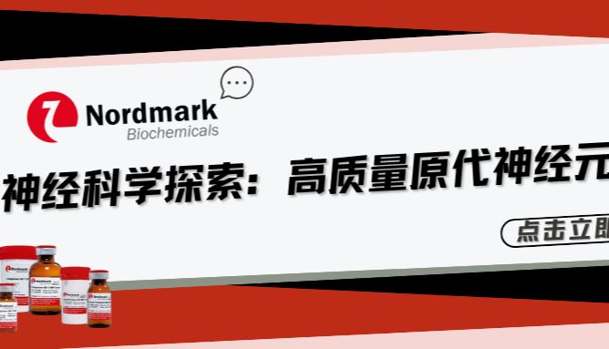 从高质量原代神经元开始，Nordmark胶原酶赋能神经科学探索