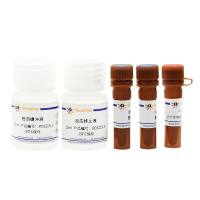 碱性磷酸酶检测试剂盒