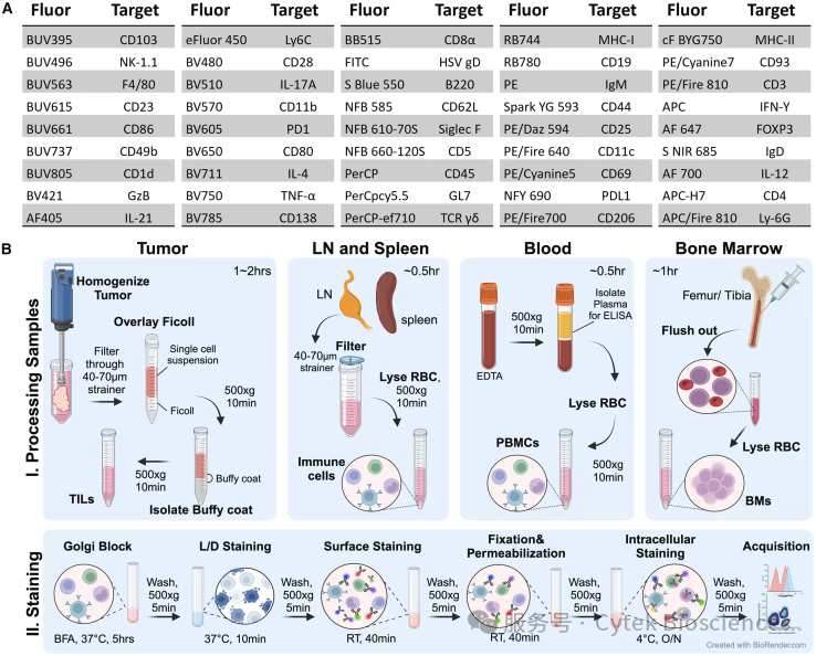 46色小鼠胞内方案，打开肿瘤免疫微环境全局性视野