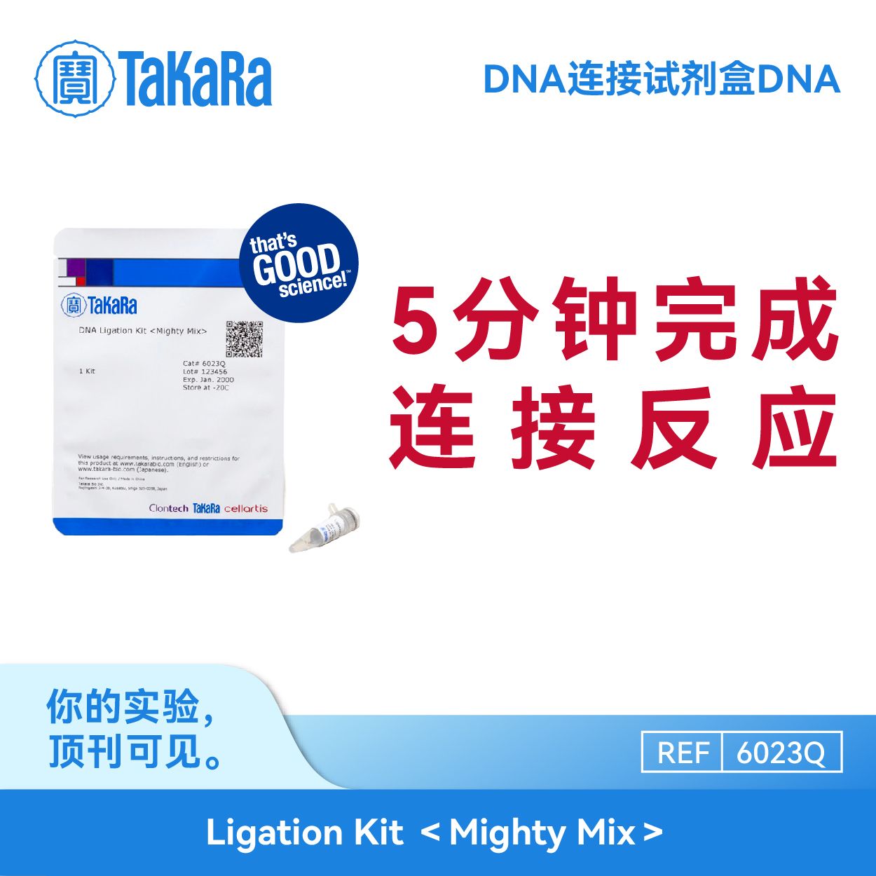 TaKaRa DNA连接试剂盒DNA Ligation Kit ＜Mighty Mix＞