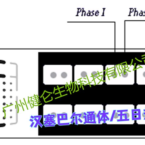 汉赛/五日热巴尔通体IgM IFA联检试剂盒(间接免疫荧光法)