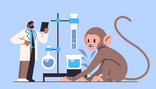 IPHASE猴肝S9助力药物代谢研究