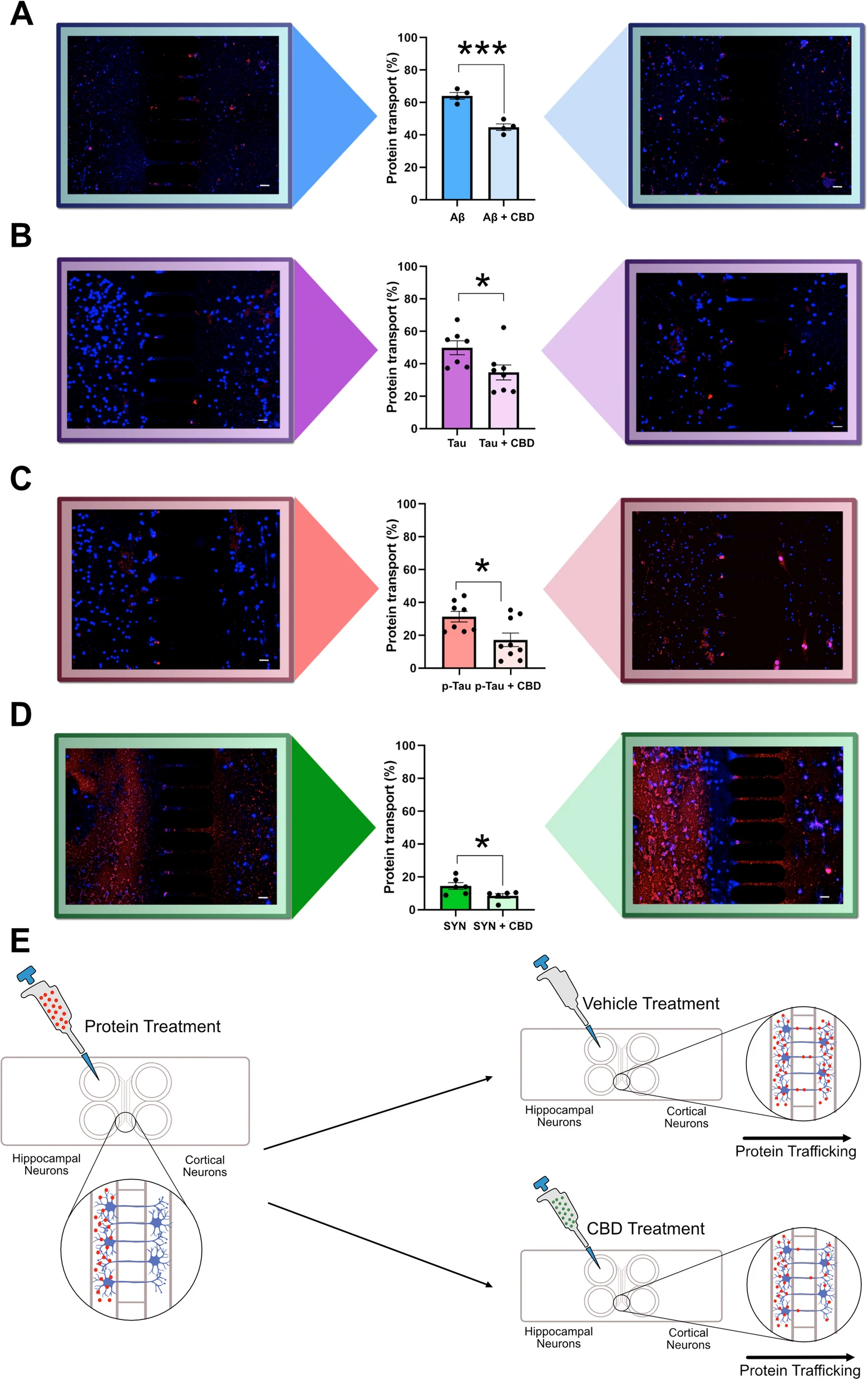 WMicrotracker小动物活动力分析系统文章分享,西班牙研究团队发表在 Alzheimer’s Research &amp; Therapy 上名为 “Cannabidiol as a multifaceted therapeutic agent: mitigating Alzheimer’s disease pathology and enhancing cognitive function”..