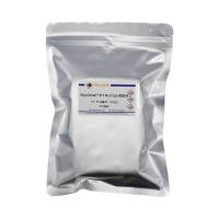 BeyoDesalt™ 6FF Spin脱盐柱