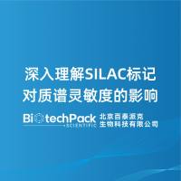 深入理解SILAC标记对质谱灵敏度的影响