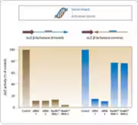 图形用户界面, 应用程序

AI 生成的内容可能不正确。