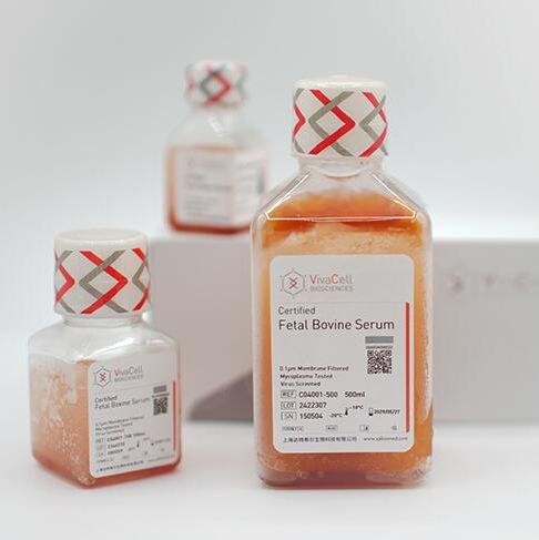 胰酶（胰蛋白酶0.25%，EDTA0.05%）C3532-0100