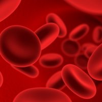 血浆血清外泌体提取试剂盒升级版-20T